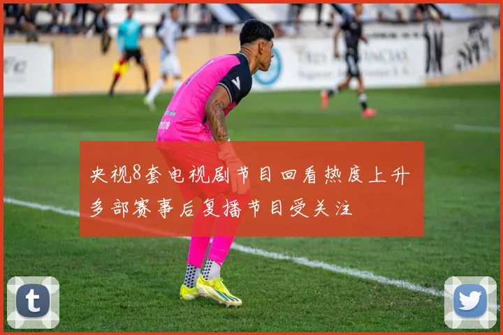 央视8套电视剧节目回看热度上升 多部赛事后复播节目受关注