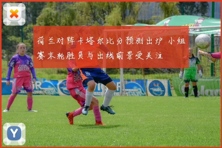 荷兰对阵卡塔尔比分预测出炉 小组赛末轮胜负与出线前景受关注