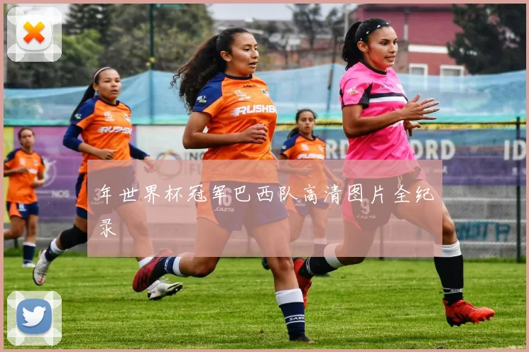年世界杯冠军巴西队高清图片全纪录