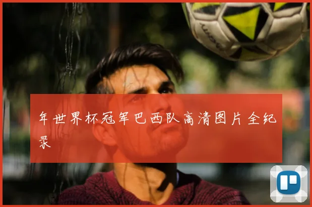 年世界杯冠军巴西队高清图片全纪录