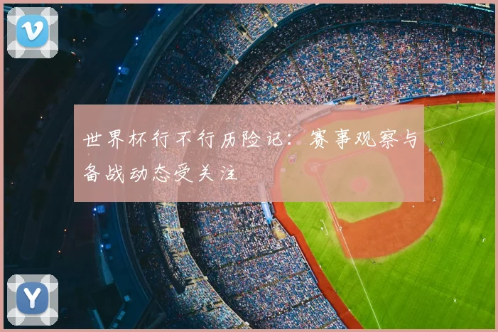 世界杯行不行历险记：赛事观察与备战动态受关注